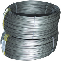 //jlrorwxhpqpqlj5m.ldycdn.com/cloud/ljbppkqplnsrrlornlkqjp/titanium-Wire.png